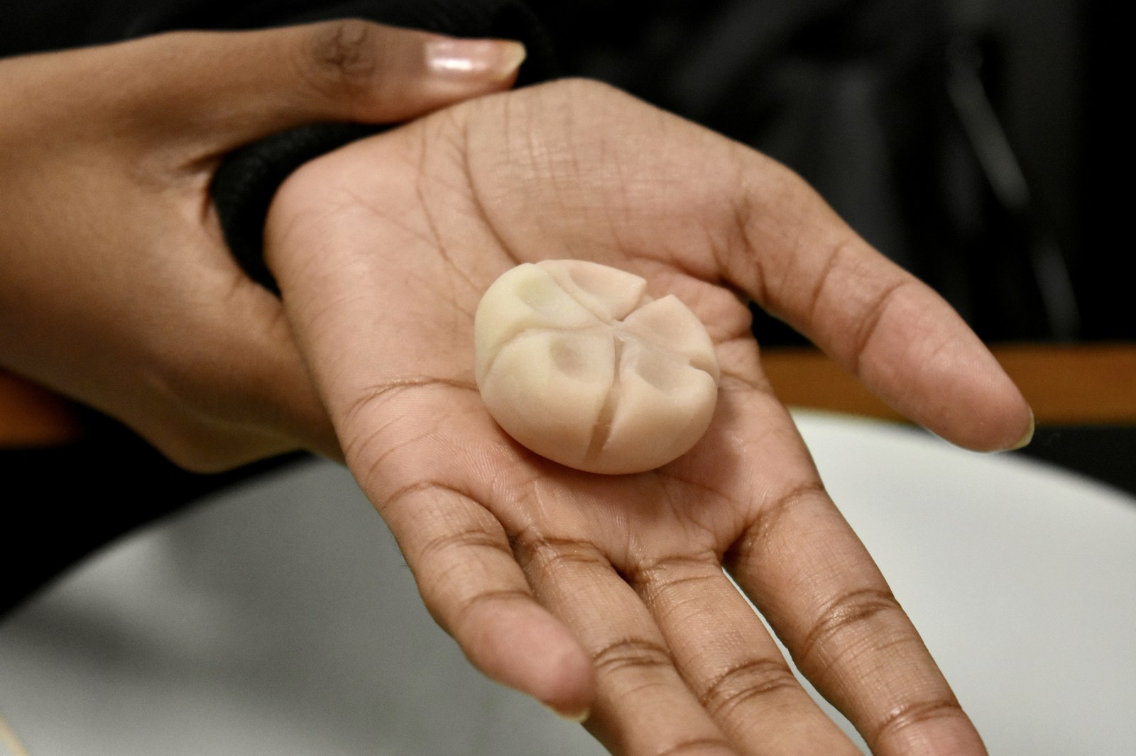 Wagashi workshop